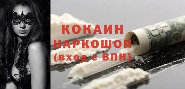 гашик Алзамай