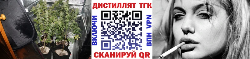 mega tor  Покров  ТГК концентрат 