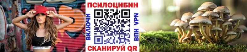 Псилоцибиновые грибы Magic Shrooms  мориарти состав  Покров 