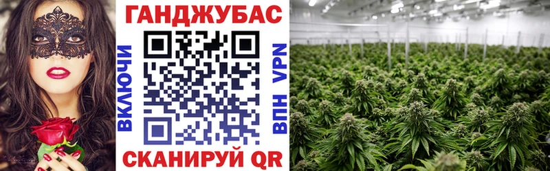 Бошки Шишки марихуана  дарнет шоп  гидра   Покров 